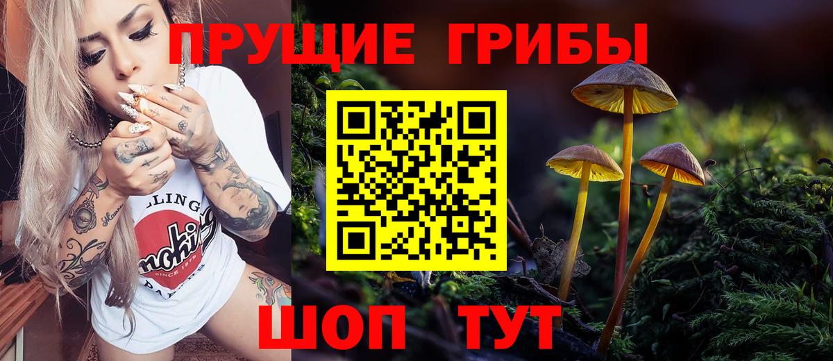 Галлюциногенные грибы Cubensis  Галлюциногенные грибы ЛСД  Вход с VPN  Великий Устюг 