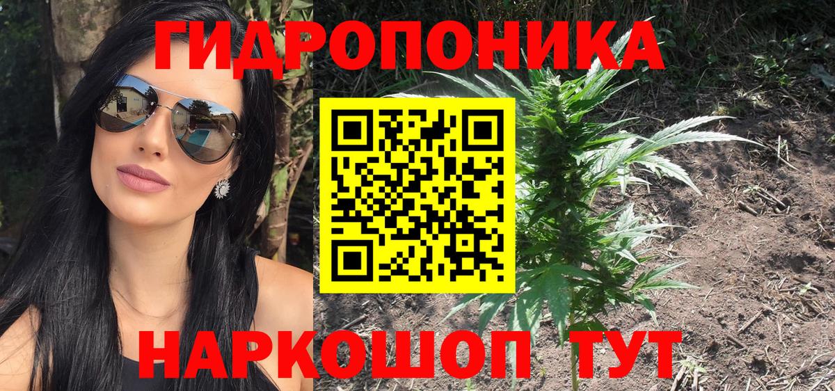 МАРИХУАНА Amnesia Великий Устюг